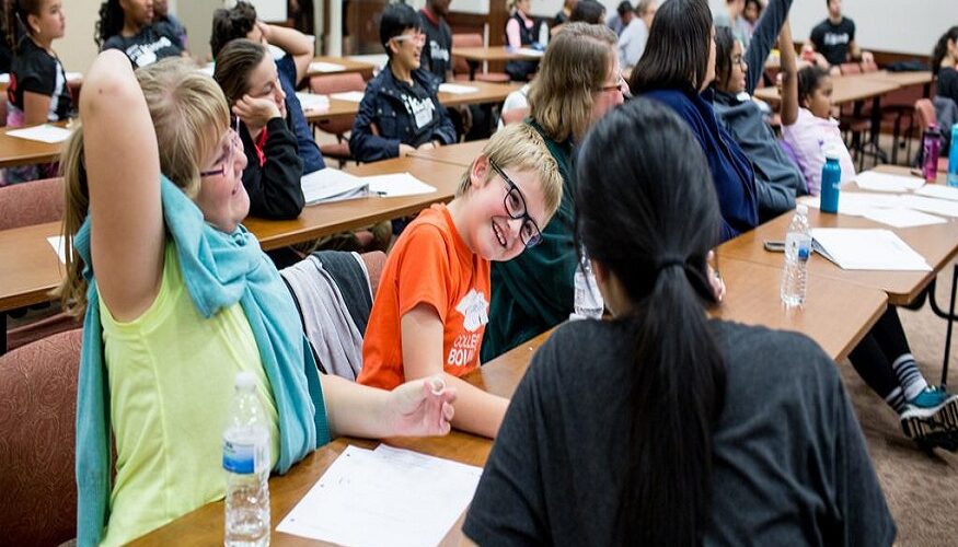Grants in Mental Health